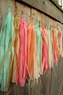 Кисточки (Tassel) продажа