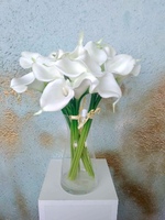 Калла