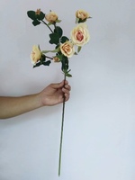 Роза «золотистая»
