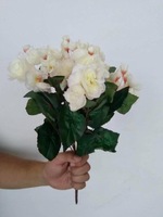 Азалия - 2