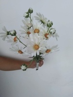 Ромашки