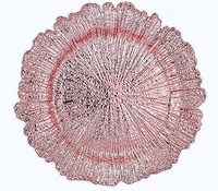Подстановочная тарелка  «coral pink gold»