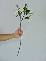 Роза
