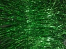 Зелёная фотозона 